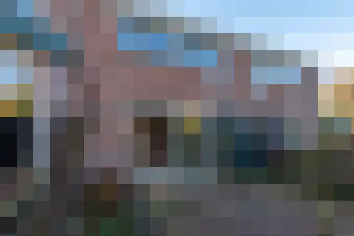 Rinnewaard 58 Alkmaar thumbnail 33