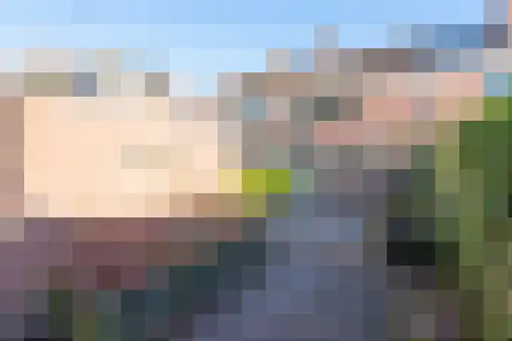 Rinnewaard 58 Alkmaar thumbnail 35