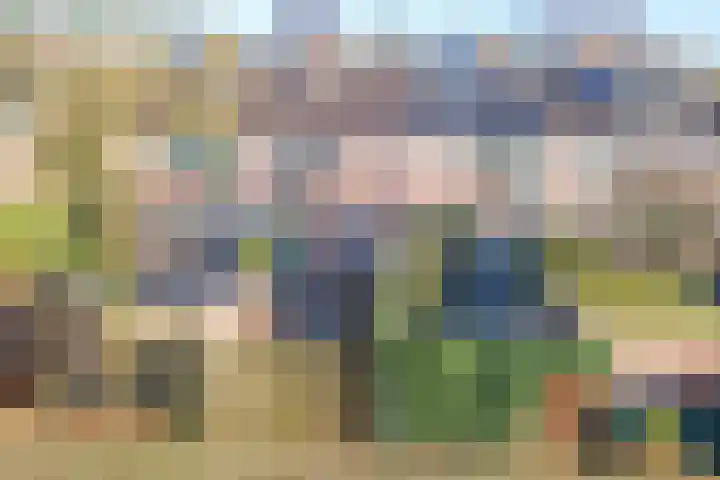 Rinnewaard 58 Alkmaar thumbnail 36