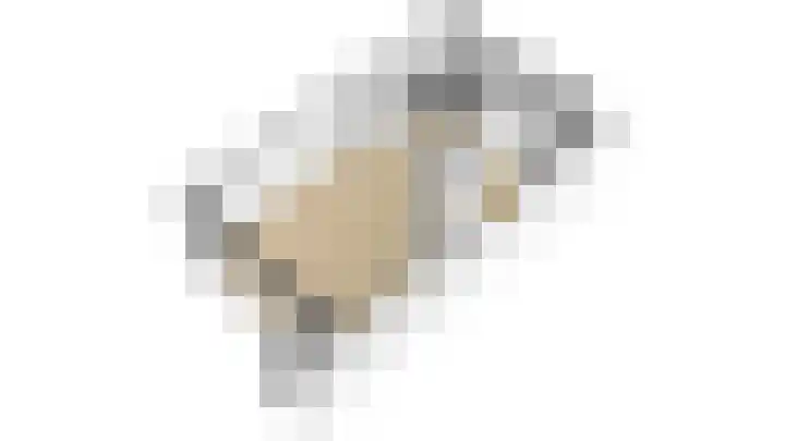 Rinnewaard 58 Alkmaar thumbnail 39