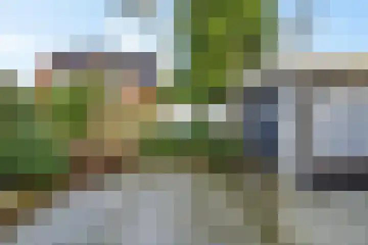 Rinsmastate 11 Leeuwarden thumbnail 37