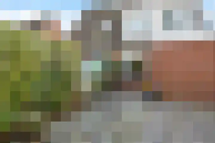 Rinsmastate 11 Leeuwarden thumbnail 4
