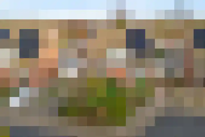 Rinsmastate 11 Leeuwarden thumbnail 41