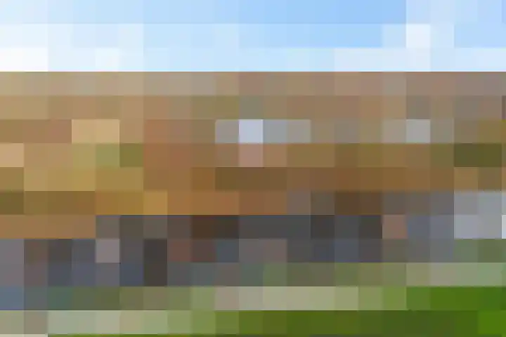 Rinsmastate 11 Leeuwarden thumbnail 43