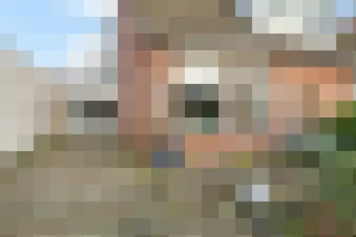 Rinsmastate 11 Leeuwarden thumbnail 6