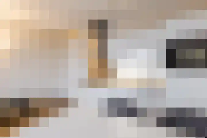 Rinus Michelslaan 127 Amsterdam thumbnail 11
