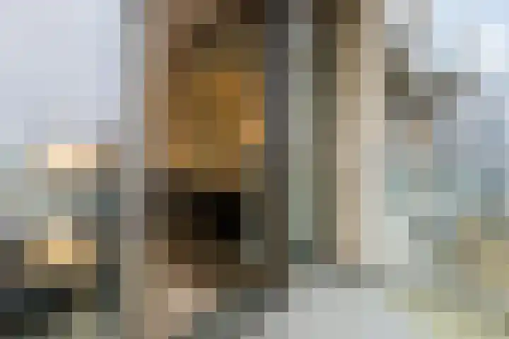 Rinus Michelslaan 127 Amsterdam thumbnail 6