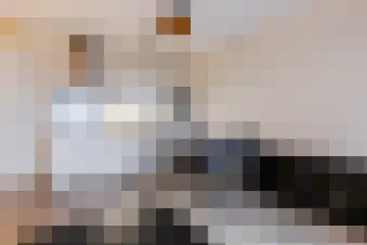 Rinus Michelslaan 127 Amsterdam thumbnail 9