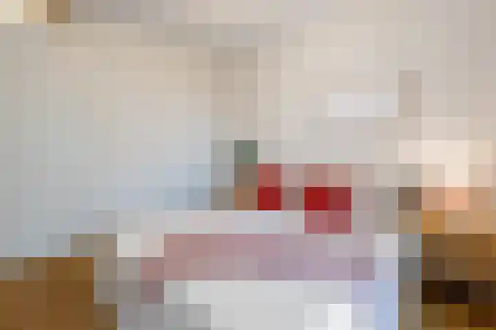 Rinus Michelslaan 203 Amsterdam thumbnail 12