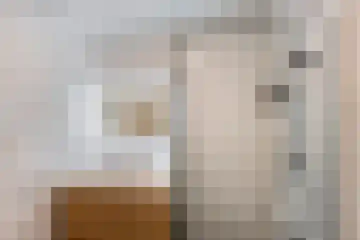 Rinus Michelslaan 203 Amsterdam thumbnail 19