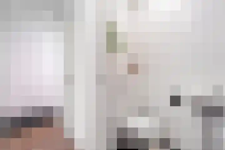 Rinus Michelslaan 203 Amsterdam thumbnail 21