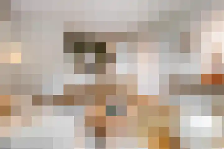 Rinus Michelslaan 203 Amsterdam thumbnail 6
