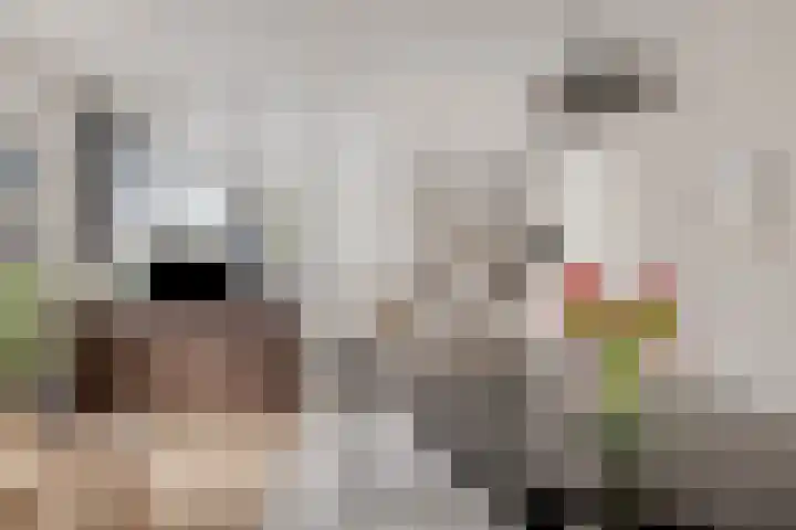 Rinus Michelslaan 209 Amsterdam thumbnail 13