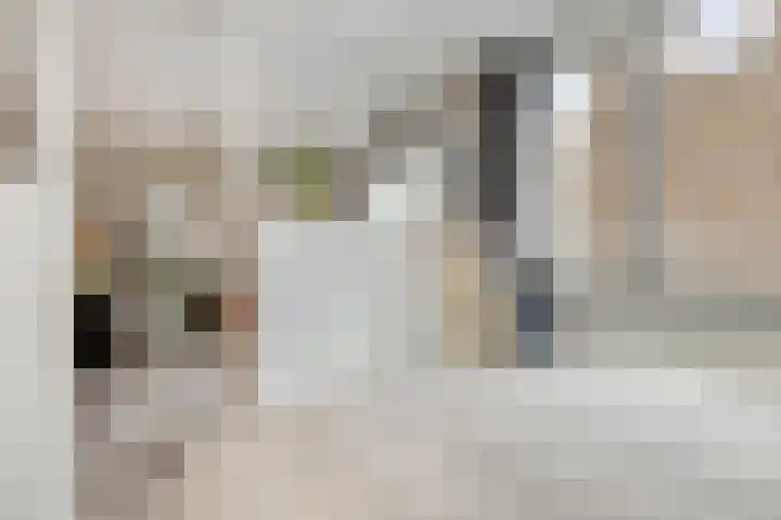 Rinus Michelslaan 209 Amsterdam thumbnail 17