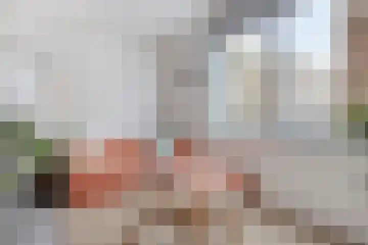 Rinus Michelslaan 209 Amsterdam thumbnail 9