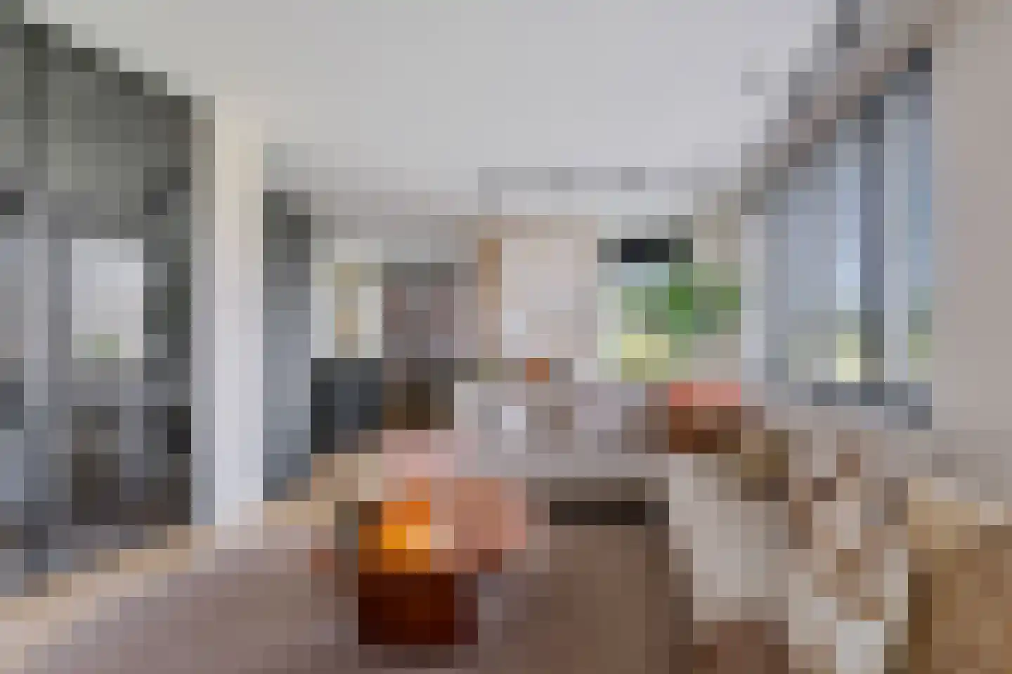 Rinus Michelslaan 211 Amsterdam thumbnail 5