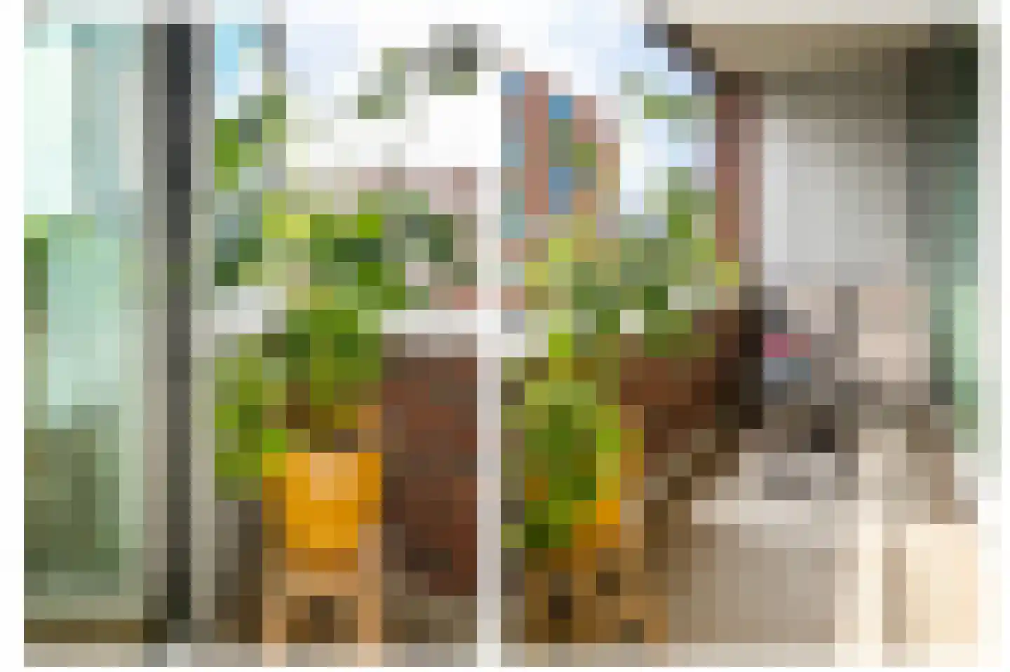 Rinus Michelslaan 215 Amsterdam thumbnail 15