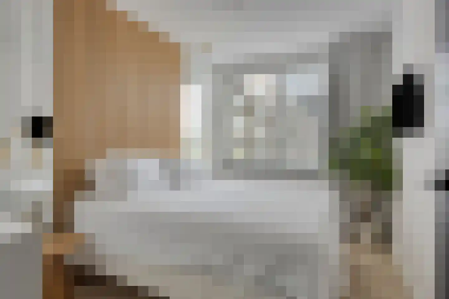 Rinus Michelslaan 259 Amsterdam thumbnail 15
