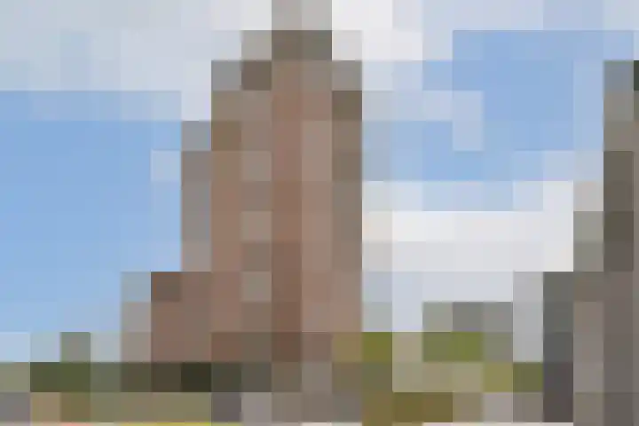 Rinus Michelslaan 293 Amsterdam thumbnail 22