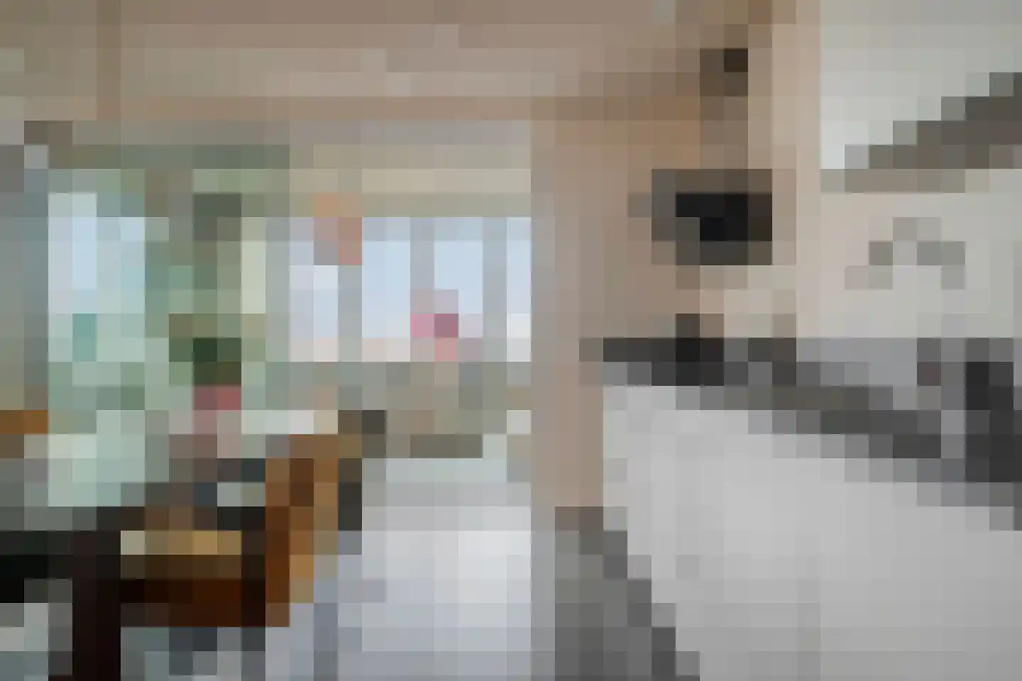 Rinus Michelslaan 309 Amsterdam thumbnail 15