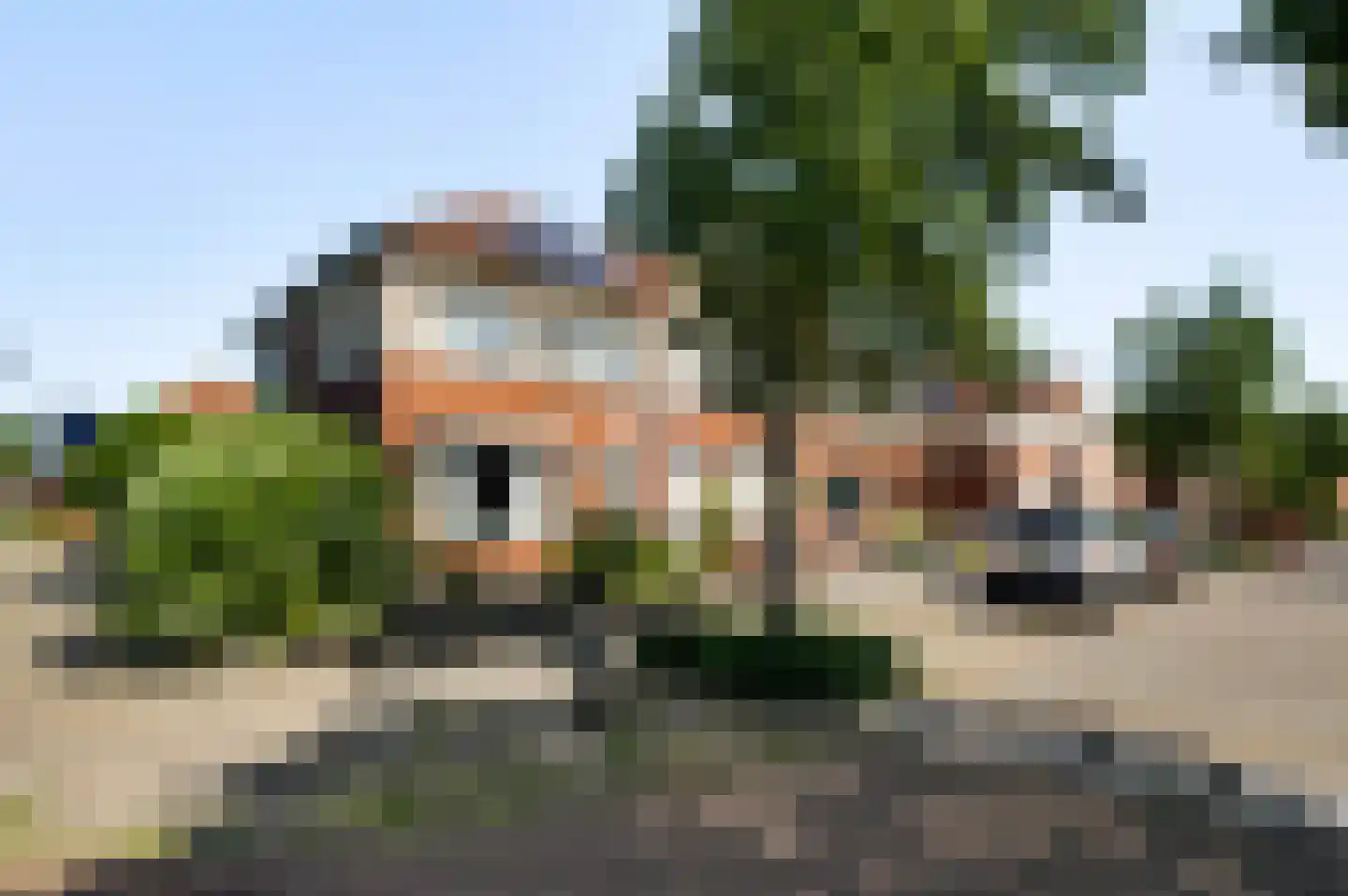 Rinus Pereirastraat 1 Reuver