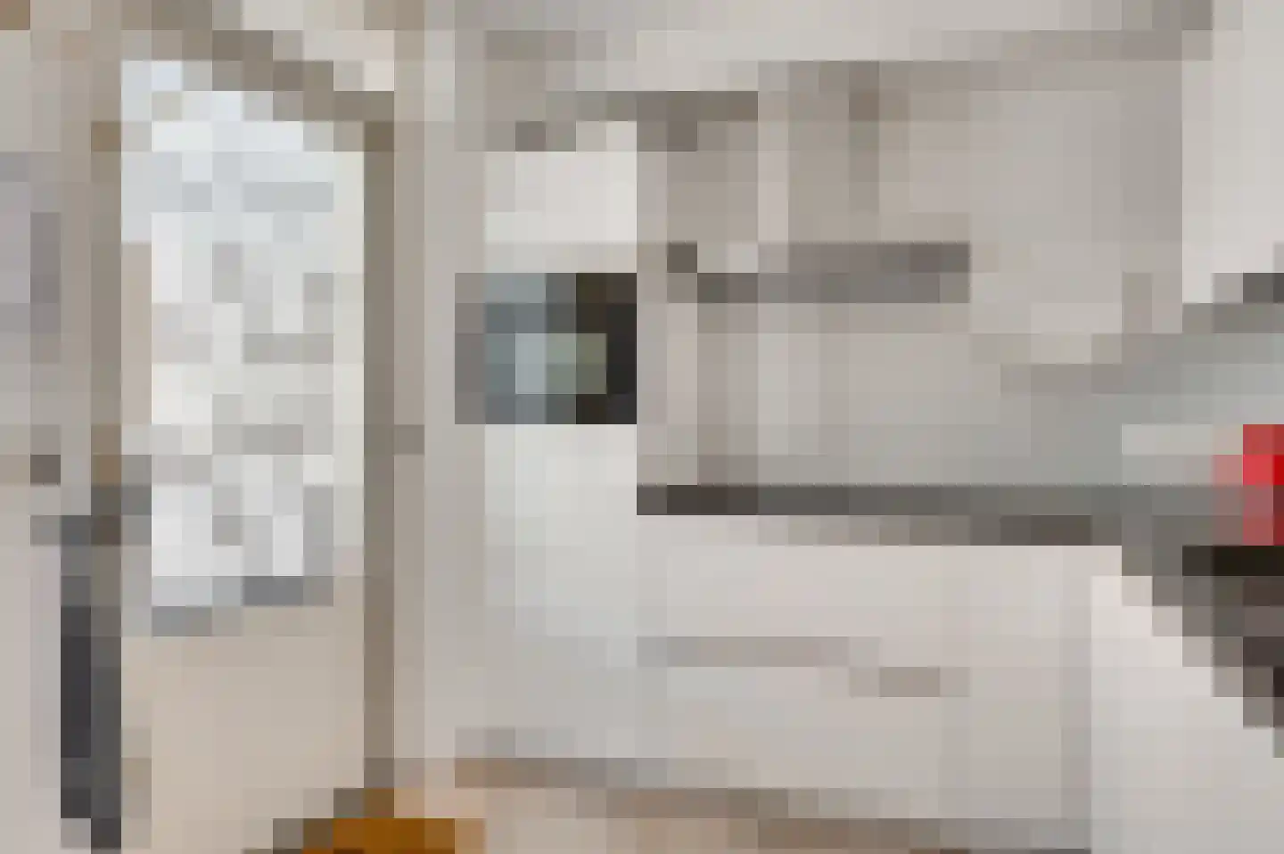 Rinus Pereirastraat 1 Reuver thumbnail 17