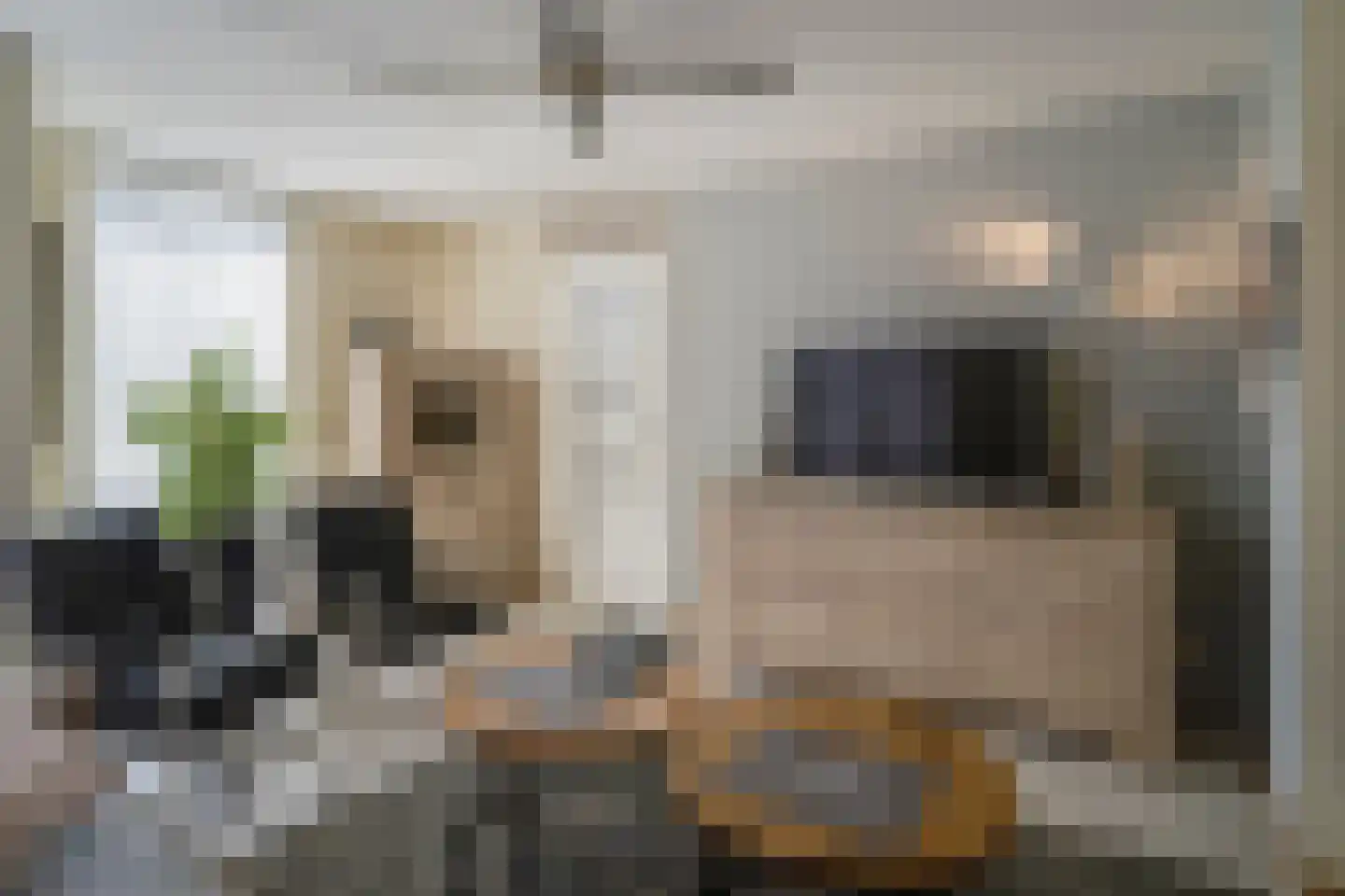 Rinus Pereirastraat 17 Reuver thumbnail 10