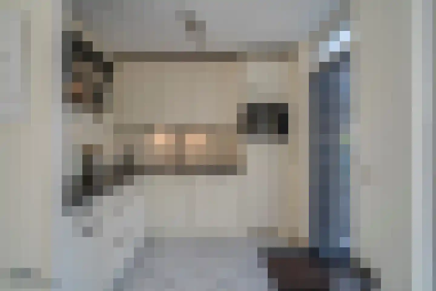 Rinus Pereirastraat 17 Reuver thumbnail 13