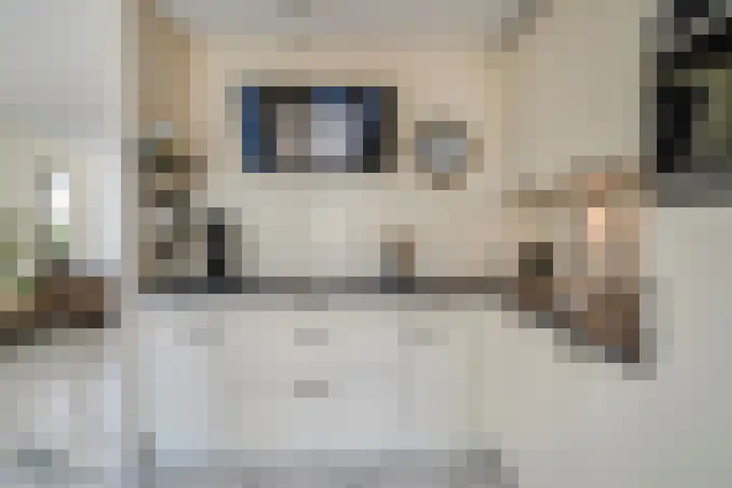 Rinus Pereirastraat 17 Reuver thumbnail 15