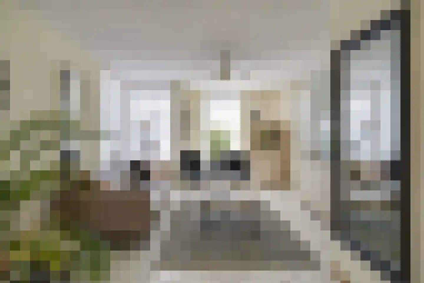Rinus Pereirastraat 17 Reuver thumbnail 8