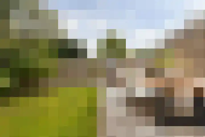 Photo d'équipe de Rinze de Makelaar