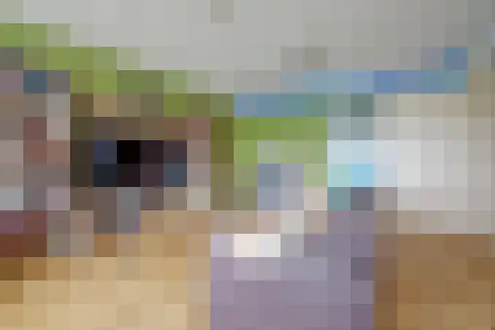 Rinze Koopmansstraat 117 Rotterdam thumbnail 4