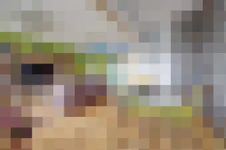 Rinze Koopmansstraat 117 Rotterdam thumbnail 5