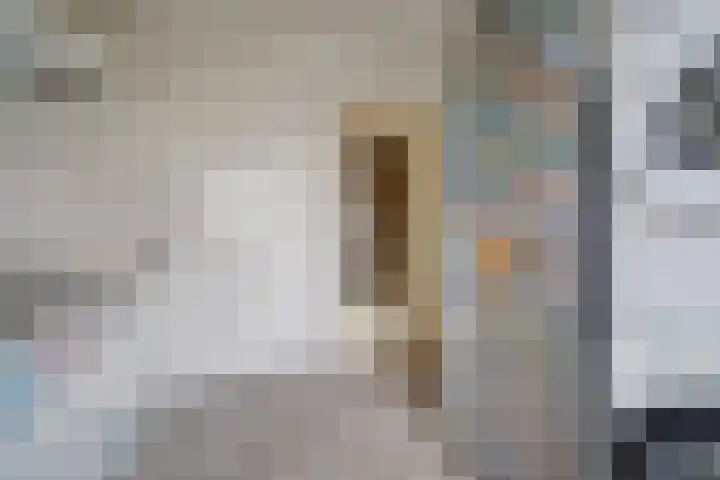 Rinze Koopmansstraat 117 Rotterdam thumbnail 8
