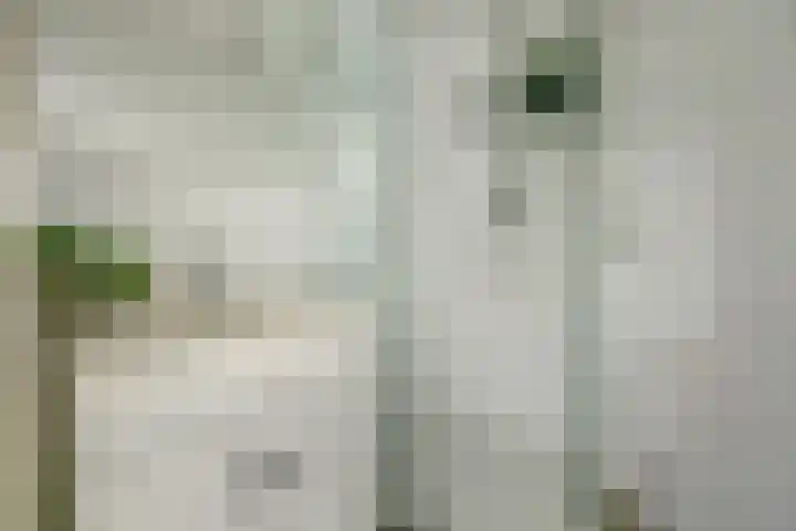 Rinze Koopmansstraat 119 Rotterdam thumbnail 22