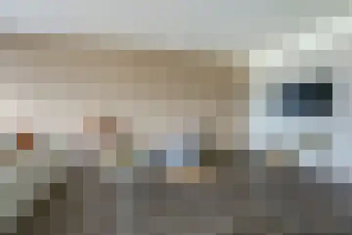 Rinze Koopmansstraat 119 Rotterdam thumbnail 7