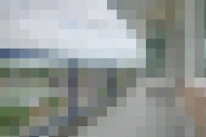 Rinze Koopmansstraat 119 Rotterdam thumbnail 8