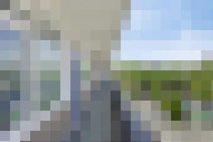 Rinze Koopmansstraat 51 Rotterdam thumbnail 4