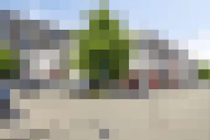 Rinze Koopmansstraat 51 Rotterdam thumbnail 5