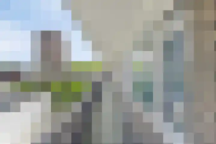 Rinze Koopmansstraat 65 Rotterdam thumbnail 7