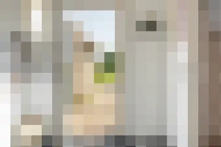 Rinze Werkhovenstraat 12 Franeker thumbnail 19