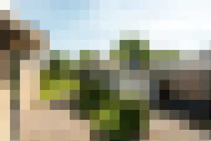 Rinze Werkhovenstraat 12 Franeker thumbnail 20