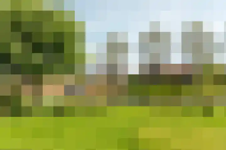 Rinze Werkhovenstraat 12 Franeker thumbnail 21