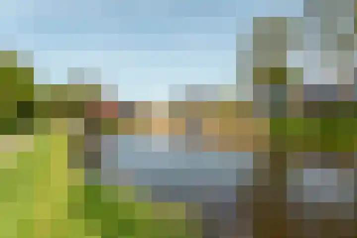 Rinze Werkhovenstraat 12 Franeker thumbnail 23