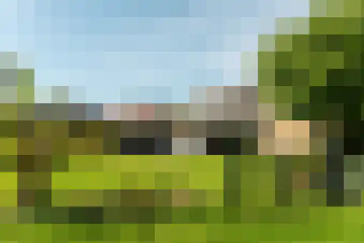 Rinze Werkhovenstraat 12 Franeker thumbnail 26