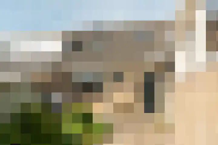 Rinze Werkhovenstraat 12 Franeker thumbnail 27