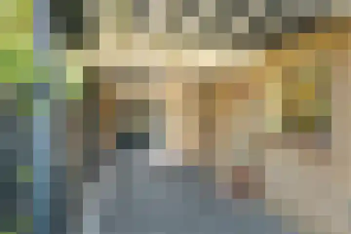 Rinze Werkhovenstraat 12 Franeker thumbnail 32