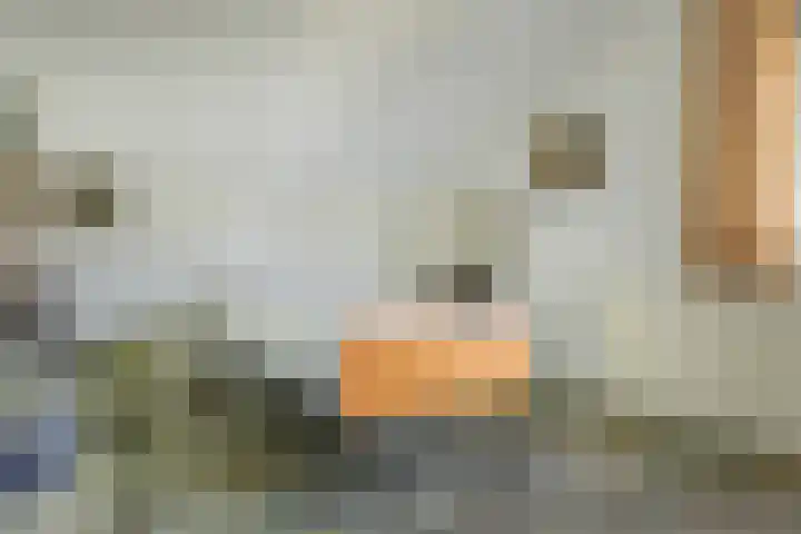 Rinze Werkhovenstraat 12 Franeker thumbnail 35