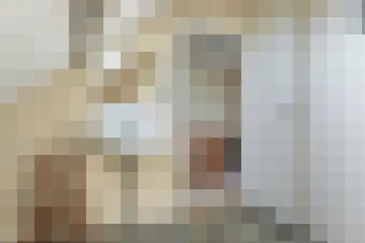 Rinze Werkhovenstraat 12 Franeker thumbnail 38