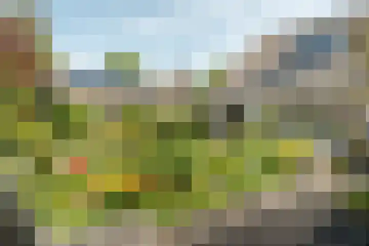 Rinze Werkhovenstraat 12 Franeker thumbnail 43